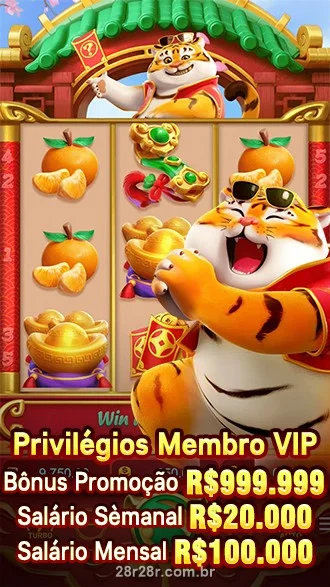Promoção 28R