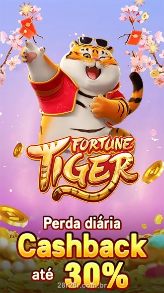 Promoção 28R